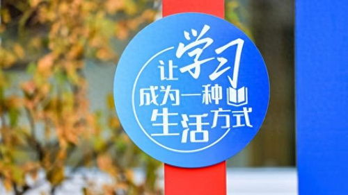 數(shù)字文化創(chuàng)意內容應用服務 徐匯打造開放式學習空間，賦能家門口的美好教育